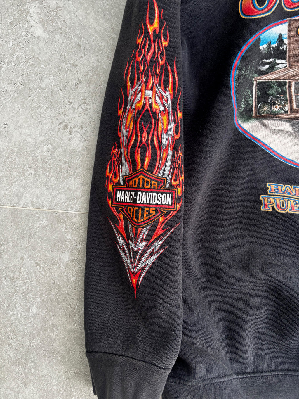 Vintage Harley Davidson Flame Hoodie Size S-M